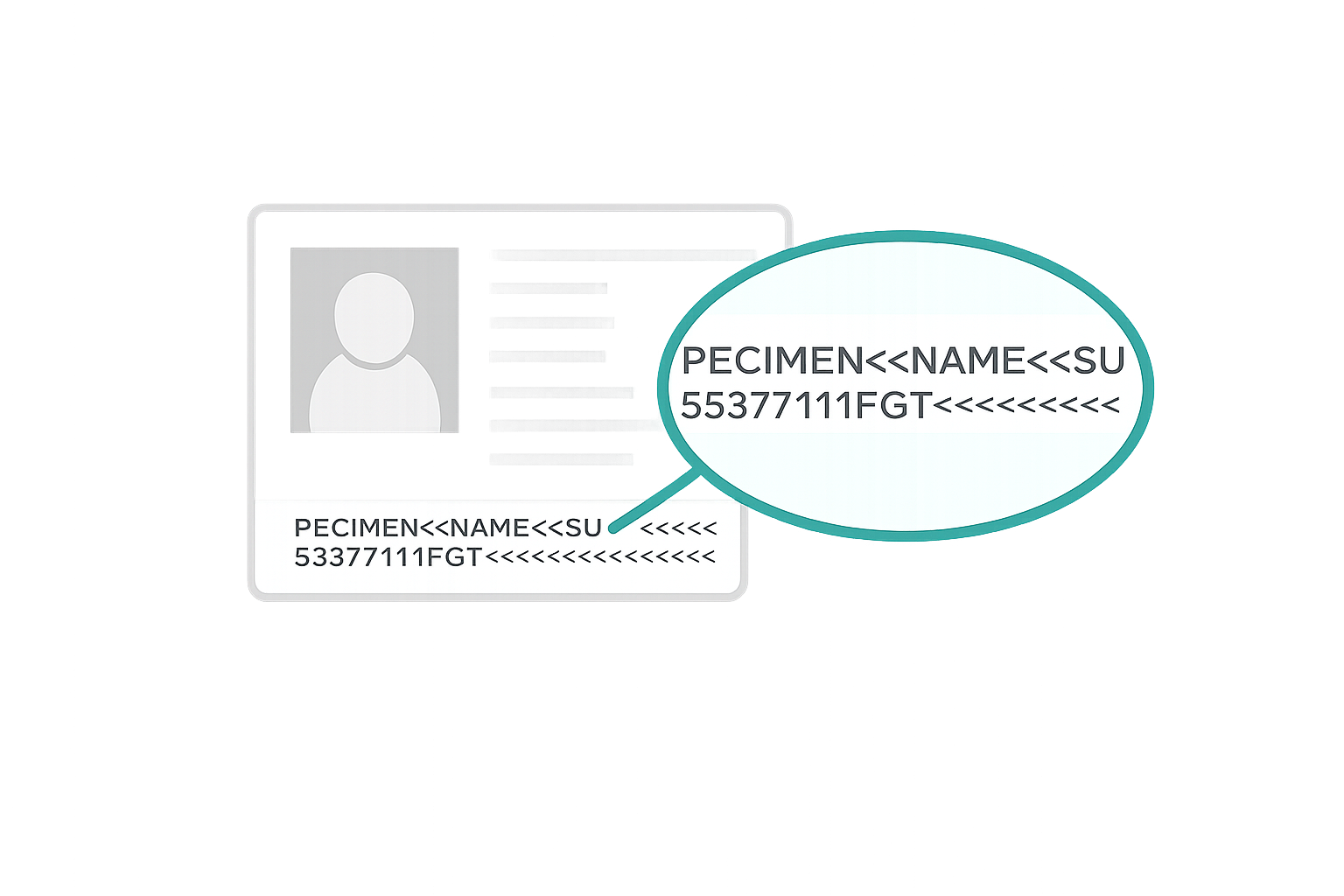 Passport machine-readable zone highlighted